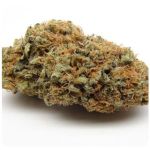 Шишки AK47  (Гидропоника, Бошка) VHQ в Вышнем Волочке